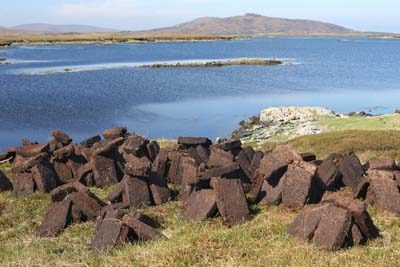 Feedback: Peat, a Cheap and Renewable Fuel Image